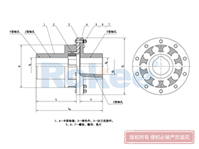 LMD/MLZ Plum-shaped Flexible Coupling,Stainless Steel Jaw Couplings
