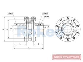 LMS/MLS Plum-shaped Flexible Coupling,Stainless Steel Jaw Couplings