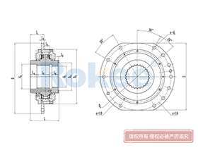 WJ Drum Coupling,Drum Couplings Supplier
