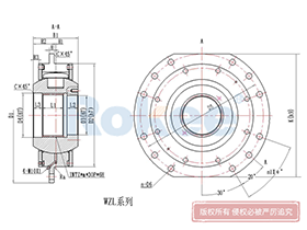 DQ/WZL Drum Coupling,Drum Couplings Supplier